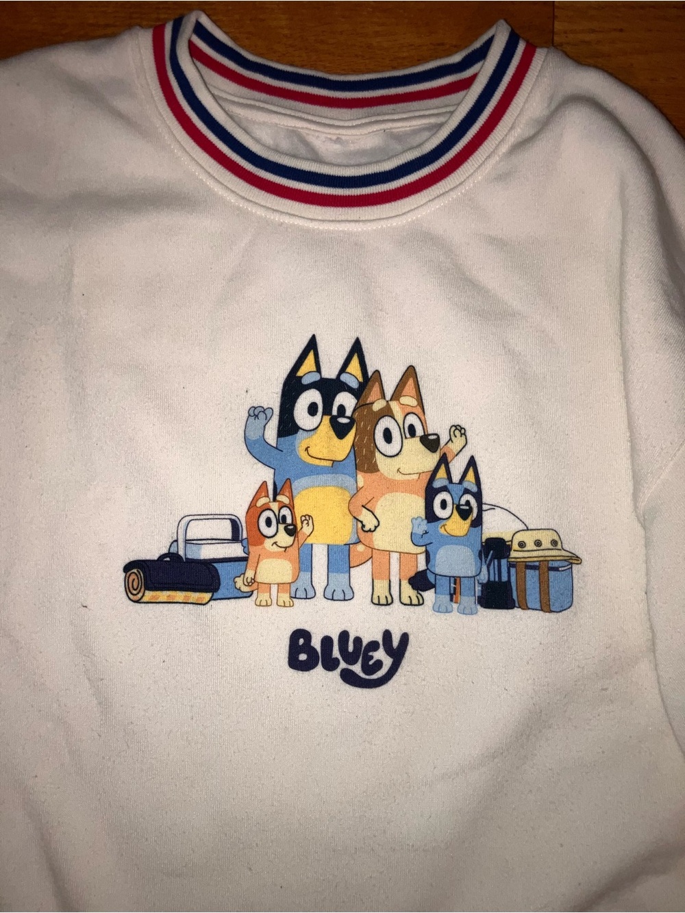 Women’s Bluey Pullover Sweatshirt